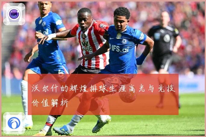 沃尔什的辉煌排球生涯高光与竞技价值解析