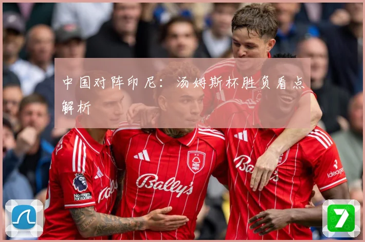 中国对阵印尼：汤姆斯杯胜负看点解析