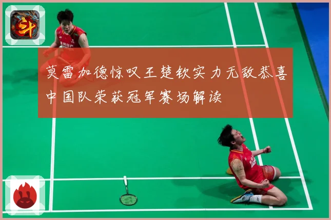 莫雷加德惊叹王楚钦实力无敌恭喜中国队荣获冠军赛场解读