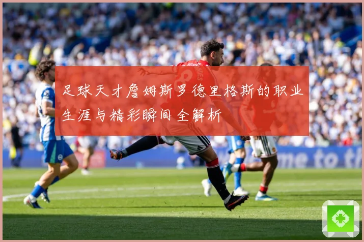 足球天才詹姆斯罗德里格斯的职业生涯与精彩瞬间全解析